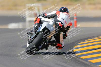 media/Oct-08-2022-SoCal Trackdays (Sat) [[1fc3beec89]]/Turn 11 Backside (1145am)/